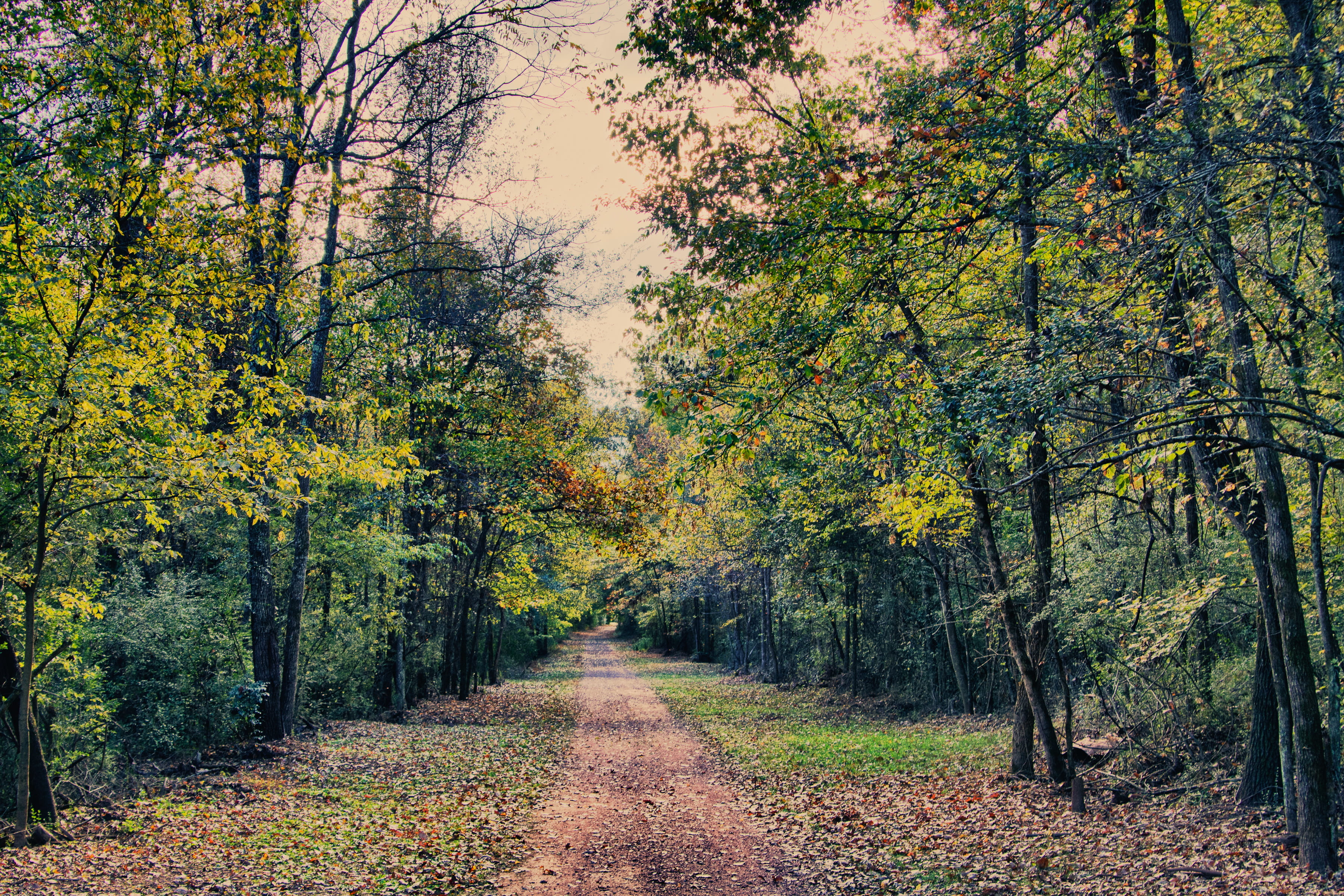 Red Mountain Park in Alabama